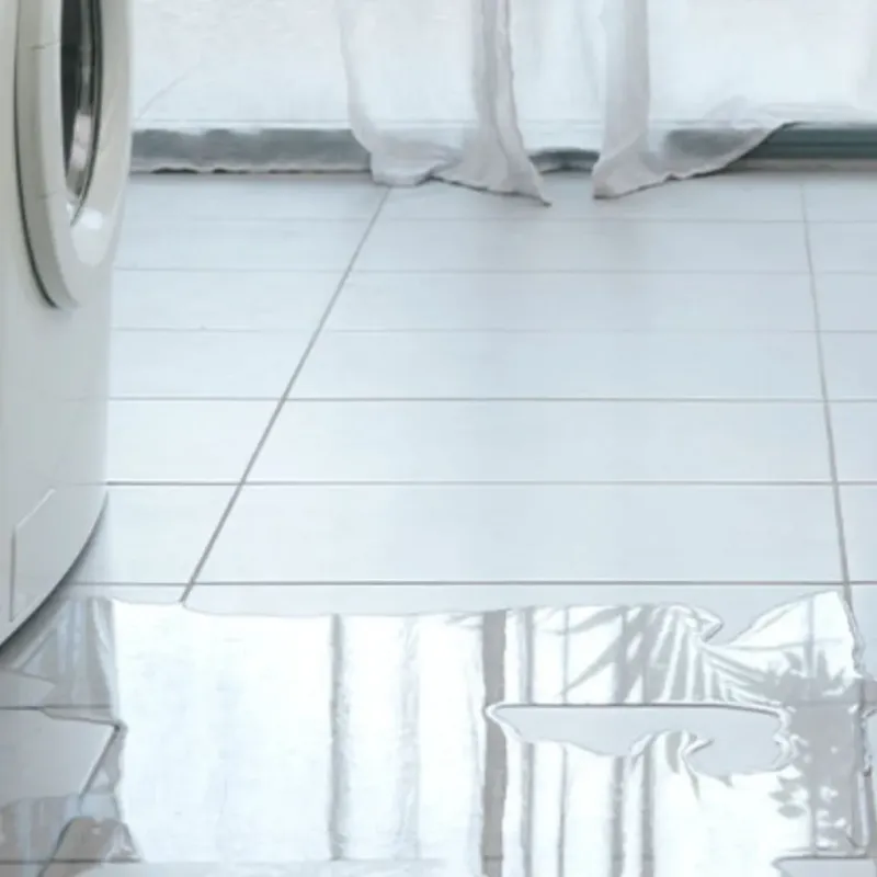 Appliance Leak Cleanup in Danbury, NH