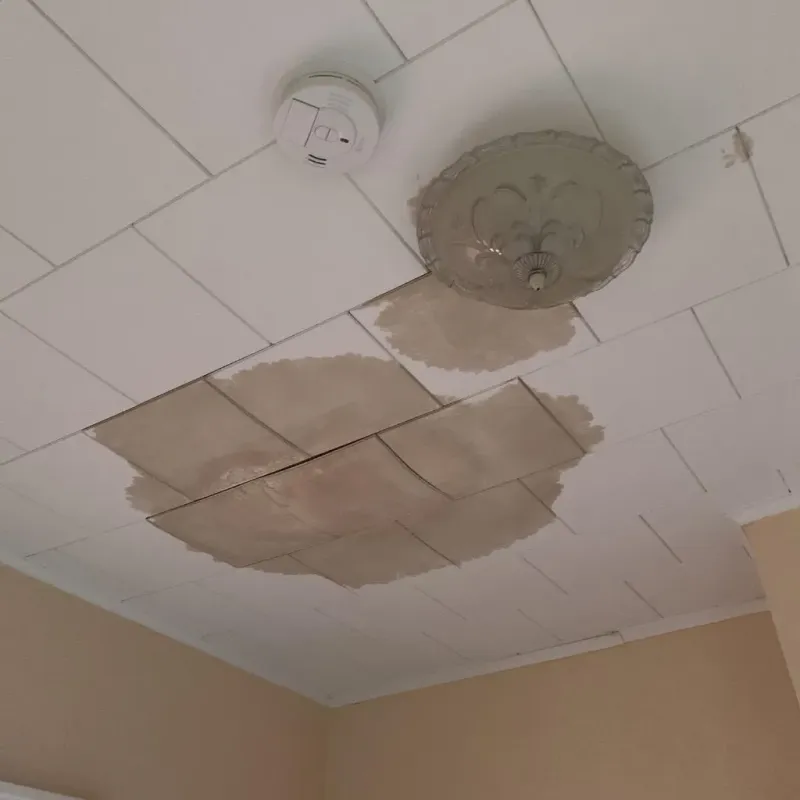 Ceiling Water Damage Repair in Danbury, NH