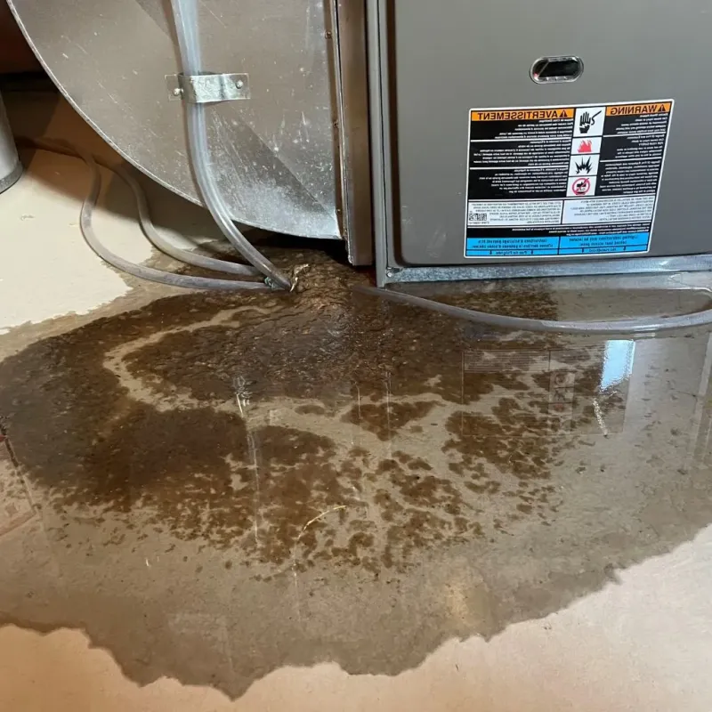 Pipe Burst and Leak Restoration in Danbury, NH